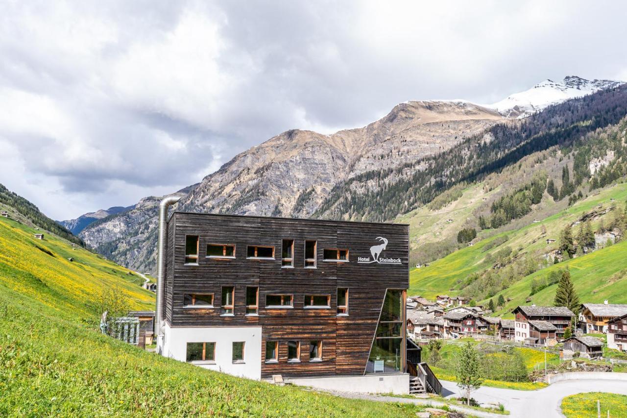 Hotel Steinbock 3*